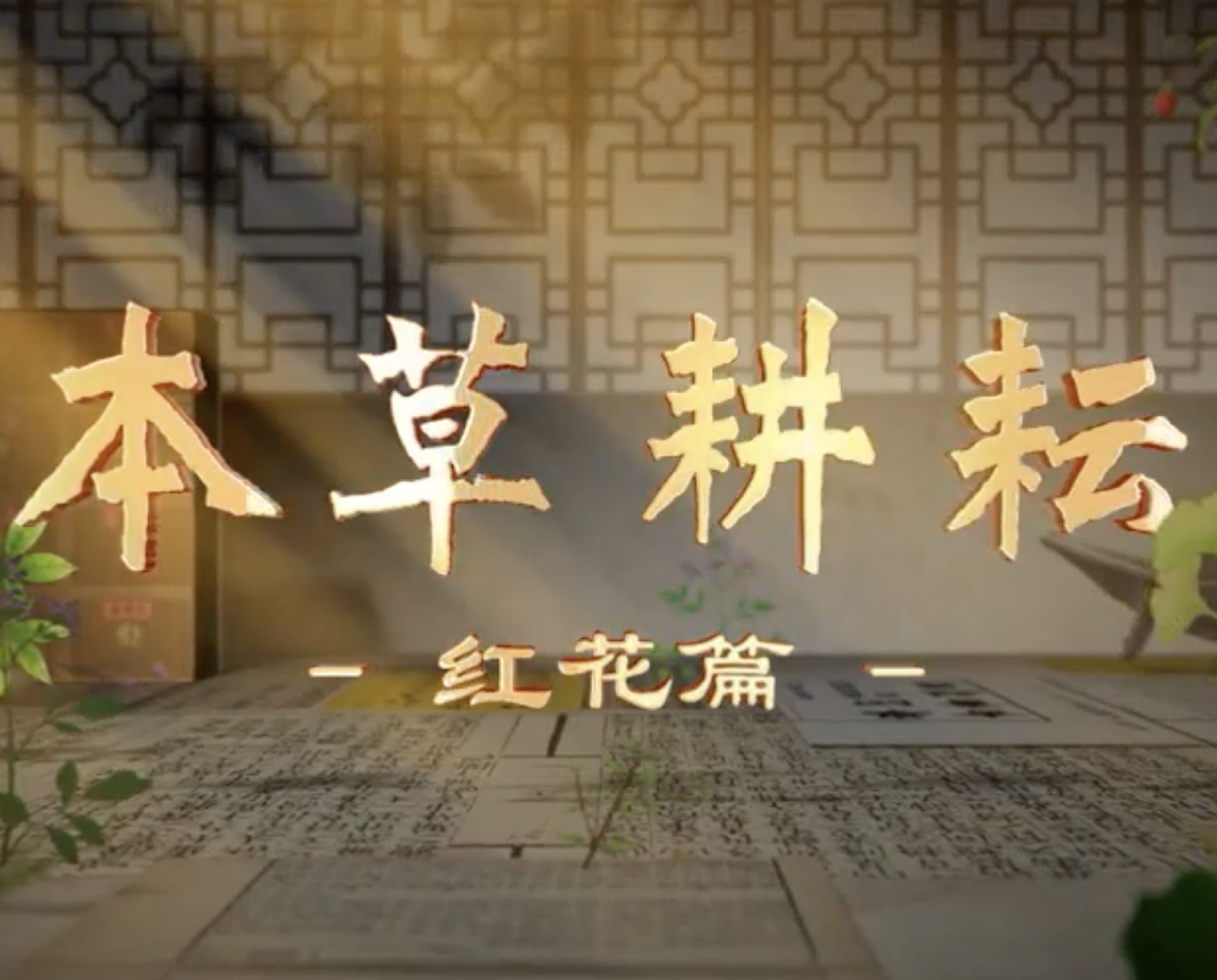 本草耕耘——红花