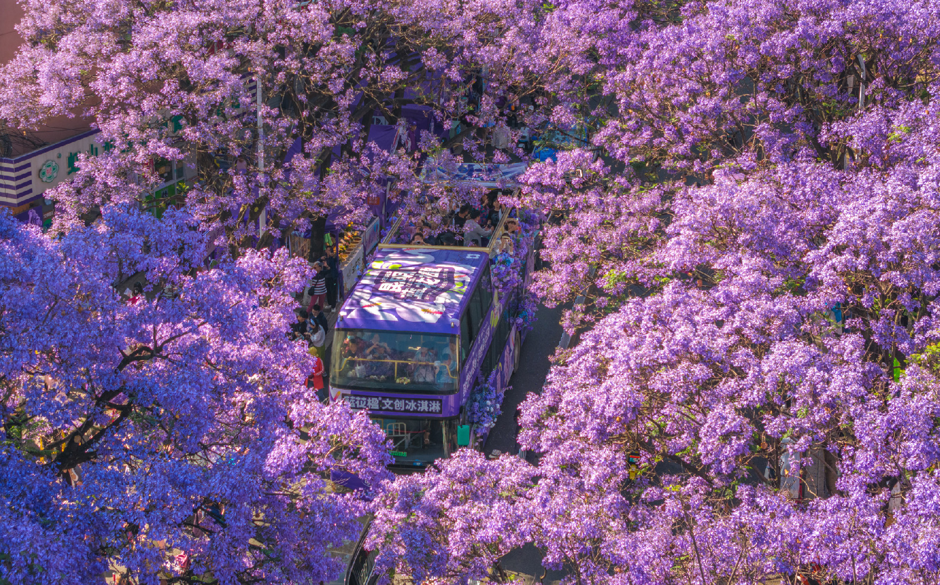 ​“五一”文旅市场供需两旺